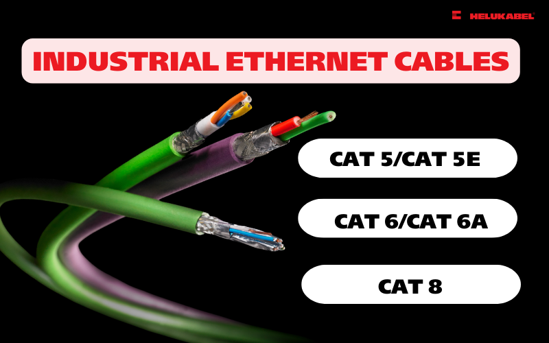 Dây cáp ethernet là gì? Đặc điểm và phân loại