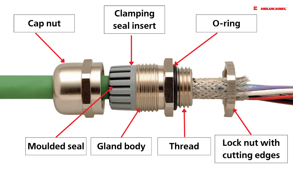 Structure of cable glands