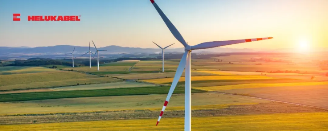 Năng lượng gió là một trong những nguồn năng lượng đầy triển vọng 